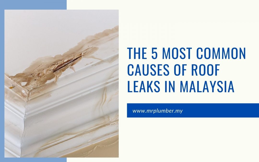 The 5 Most Common Causes of Roof Leaks in Malaysia