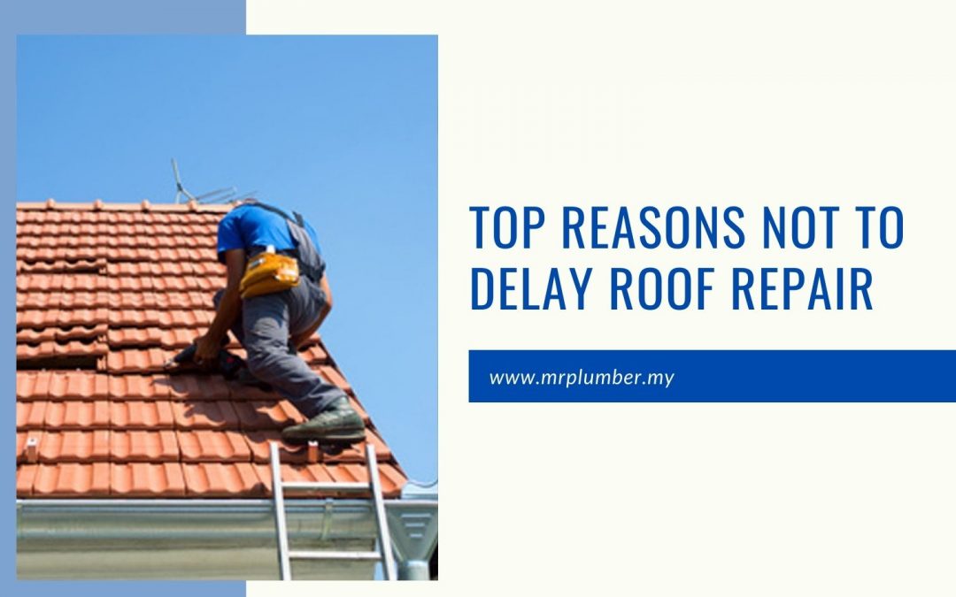 Top Reasons Not to Delay Roof Repair